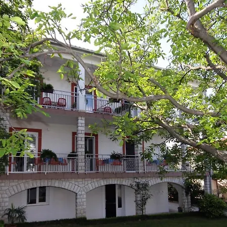 2379b * セルツェ